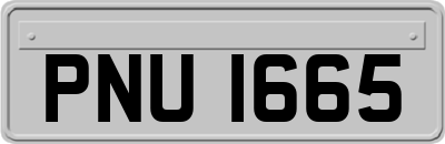 PNU1665