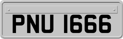 PNU1666