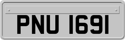 PNU1691