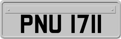 PNU1711