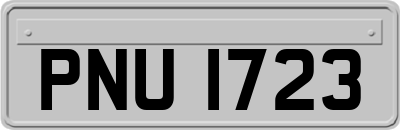 PNU1723