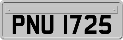 PNU1725