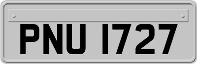 PNU1727