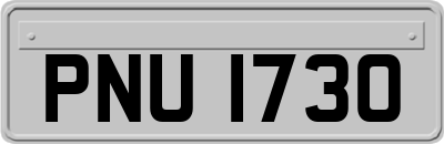 PNU1730