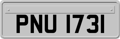 PNU1731