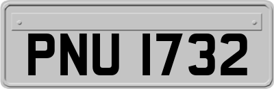 PNU1732