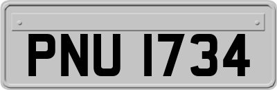 PNU1734