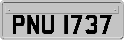 PNU1737