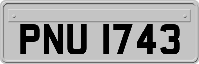 PNU1743