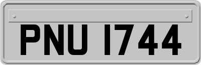 PNU1744