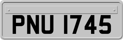 PNU1745