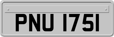 PNU1751