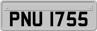 PNU1755