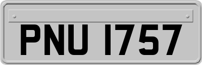 PNU1757