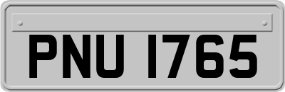 PNU1765