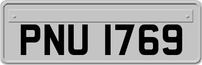 PNU1769
