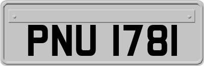 PNU1781