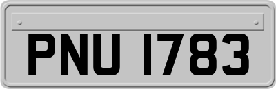 PNU1783