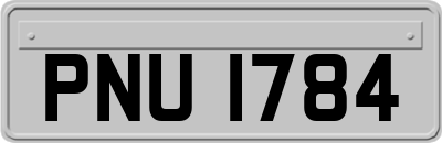 PNU1784