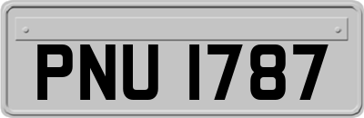 PNU1787