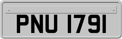 PNU1791