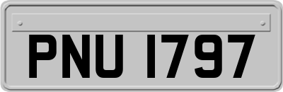 PNU1797