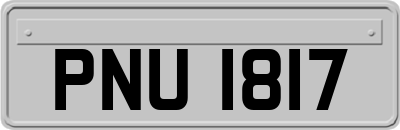 PNU1817