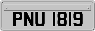 PNU1819