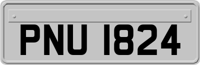 PNU1824