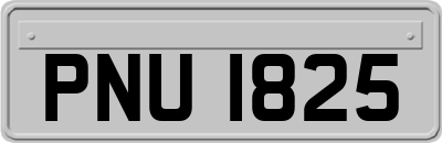 PNU1825