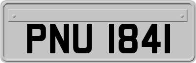 PNU1841