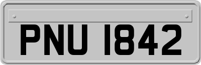 PNU1842
