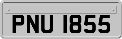 PNU1855