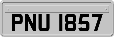 PNU1857