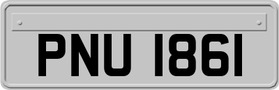 PNU1861