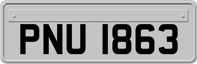 PNU1863