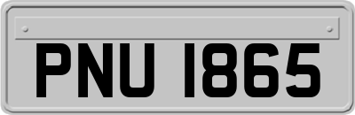 PNU1865
