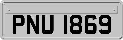 PNU1869