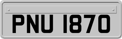 PNU1870