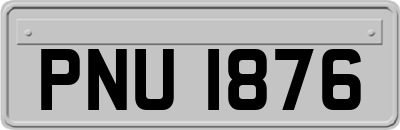 PNU1876