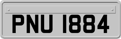 PNU1884