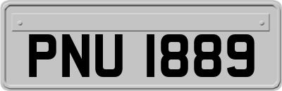 PNU1889