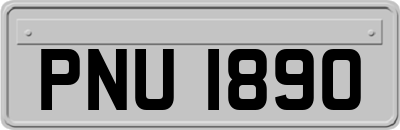 PNU1890