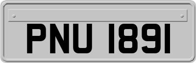 PNU1891