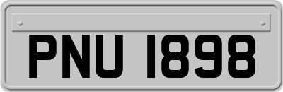 PNU1898