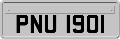 PNU1901