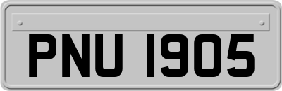 PNU1905
