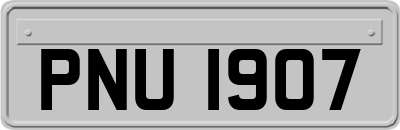 PNU1907