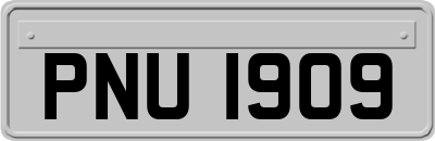 PNU1909