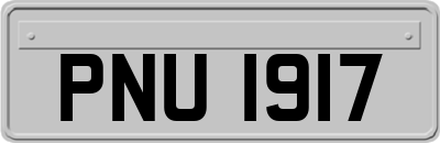 PNU1917